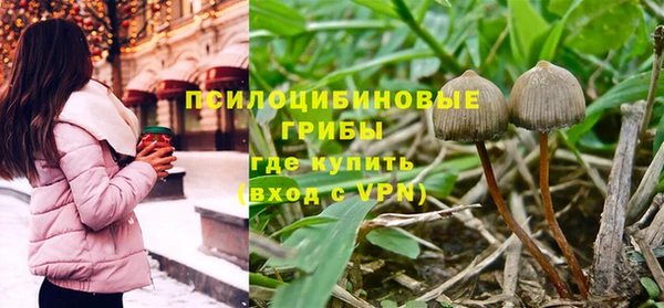 дмт Баксан