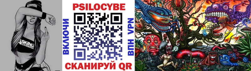 Галлюциногенные грибы Psilocybine cubensis  Новоуральск 