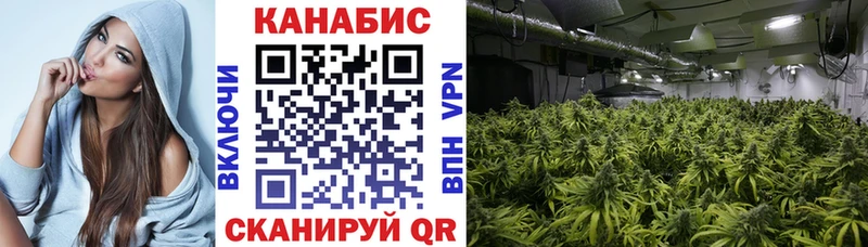 Бошки Шишки AK-47 Новоуральск
